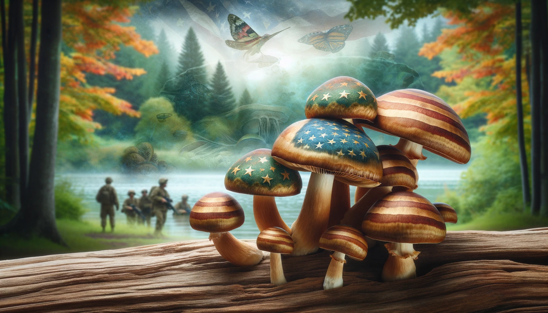 A clutch of stars-and-stripes capped mushrooms grow with out of focus soldiers behind.